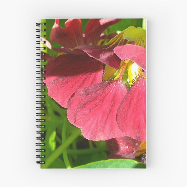 Item preview, Darkred Nasturtium designed and sold by hajarsdeco.