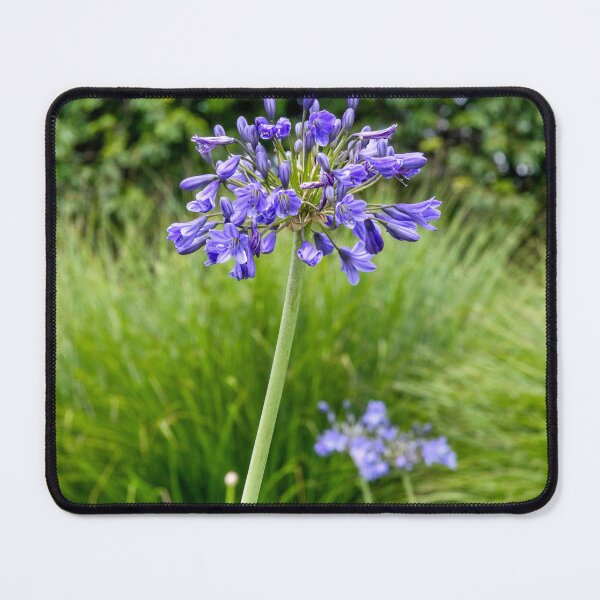 Item preview, African lily designed and sold by jasminewang.