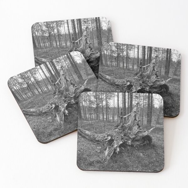 Item preview, This is what the time does. Laanila 2024 bw designed and sold by Jouko Lehto Photography.