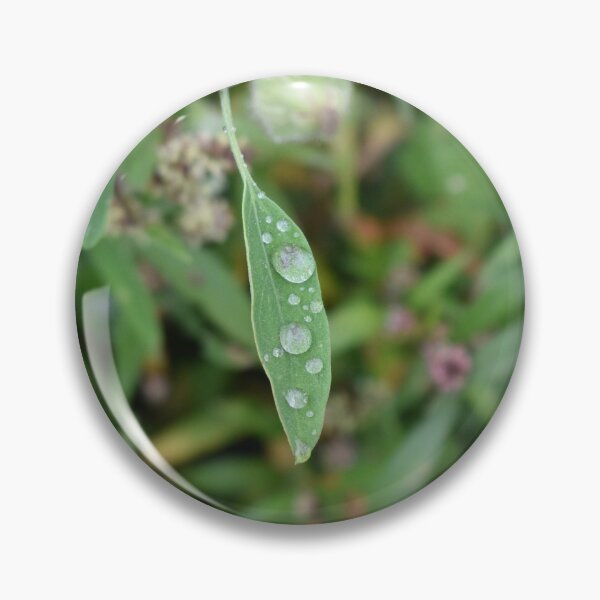 Item preview, Raindrop on leaf in UK designed and sold by gazzaphil.