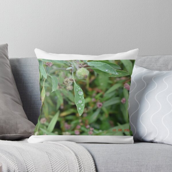 Item preview, Raindrop on leaf in UK designed and sold by gazzaphil.