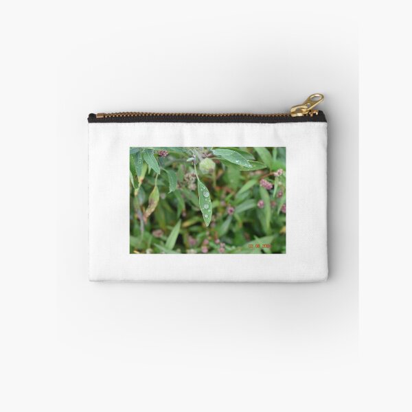 Item preview, Raindrop on leaf in UK designed and sold by gazzaphil.
