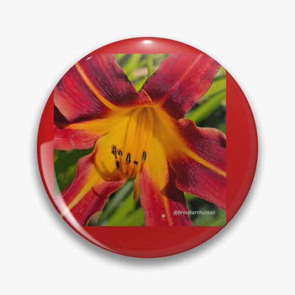 Item preview, Star fire designed and sold by DancingCreek.