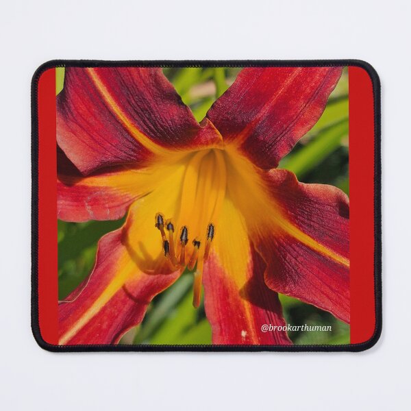 Item preview, Star fire designed and sold by DancingCreek.
