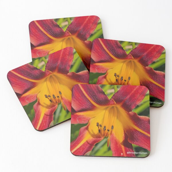 Item preview, Star fire designed and sold by DancingCreek.
