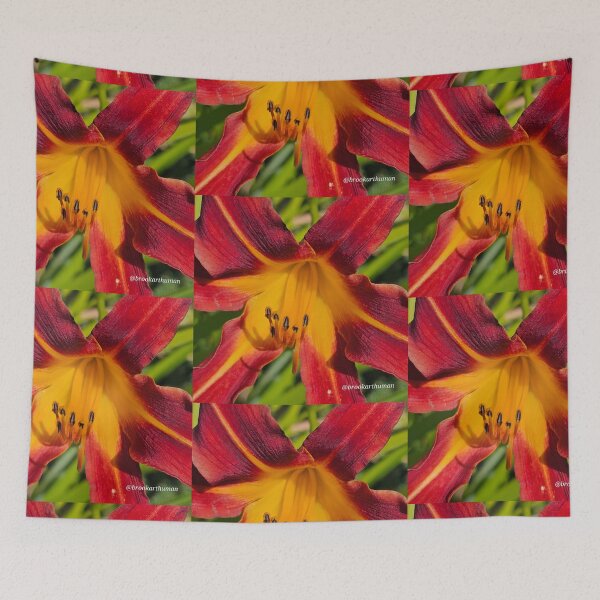 Item preview, Star fire designed and sold by DancingCreek.