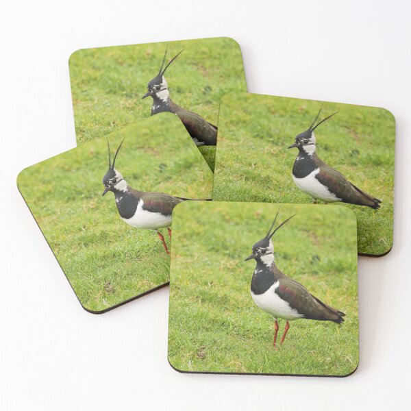 Item preview, Lapwing standing to attention  designed and sold by Mya Bambrick.