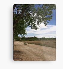 Farm Road Metal Print