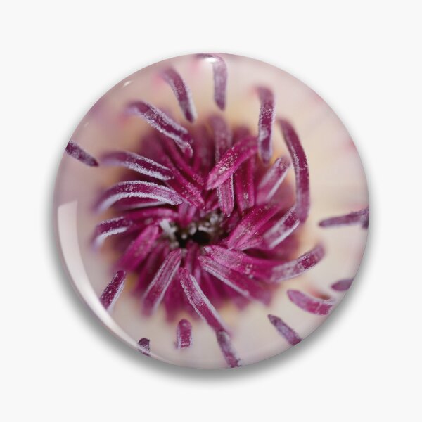 Item preview, Amaryllis designed and sold by Nigel R Bell Photography.