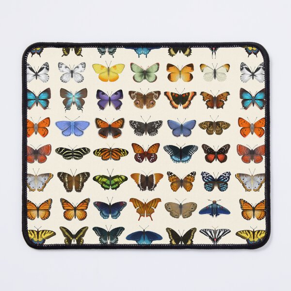 Vista previa del artículo con la obra «Mariposas de América del Norte», diseñado y vendido por Eleanor Mohren.