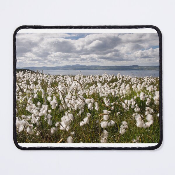Item preview, Bog Cotton on Binevenagh designed and sold by Nigel R Bell Photography.
