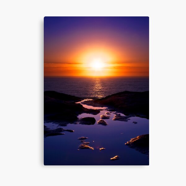To Take This Path Canvas Print
