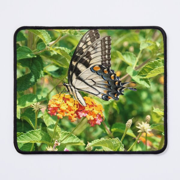 Item preview, Eastern Swallowtail and Lantana II designed and sold by CarolRMontoya.