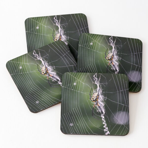 Item preview, Orb Weaver designed and sold by JakeBarkerPhoto.