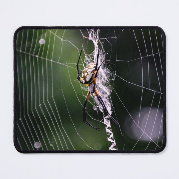 Item preview, Orb Weaver designed and sold by JakeBarkerPhoto.