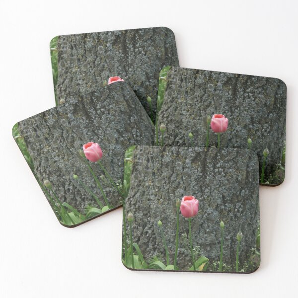 Item preview, Tulips in Dublin. designed and sold by Lettie Cronje-Steyn.