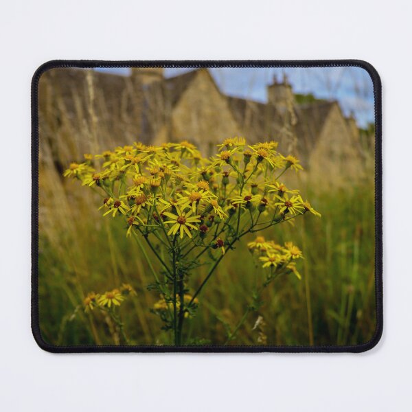 Item preview, Toxic ragwort weed designed and sold by Martin Fenton.