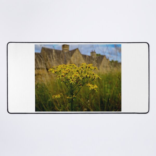 Item preview, Toxic ragwort weed designed and sold by Martin Fenton.