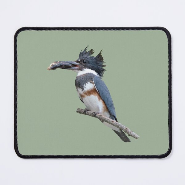 Item preview, Belted Kingfisher with Fish designed and sold by baegel.