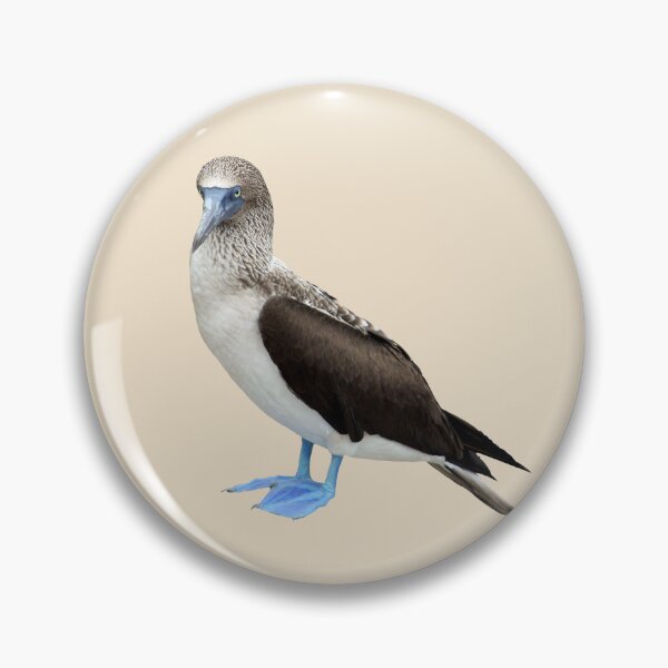 Item preview, Blue Footed Booby designed and sold by baegel.