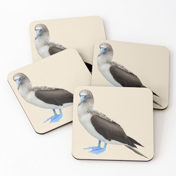 Item preview, Blue Footed Booby designed and sold by baegel.