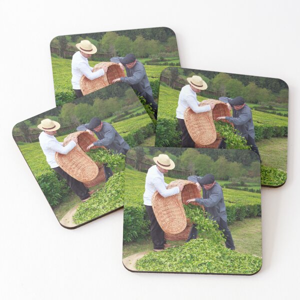 Item preview, Tea gardens designed and sold by Gaspar Avila.