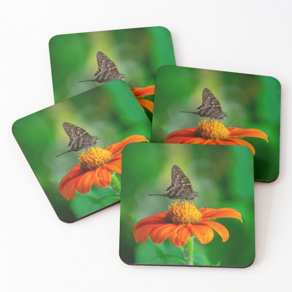Item preview, Lunar Moth on Tithonia designed and sold by JakeBarkerPhoto.