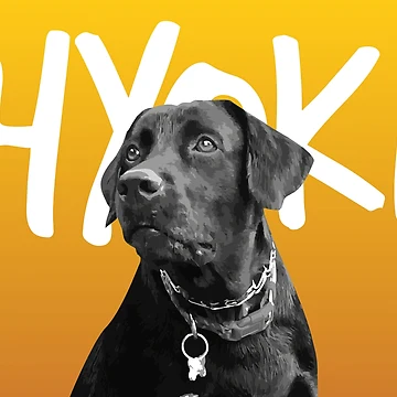 Artwork thumbnail, Hyoki_lab by eDesignStudio