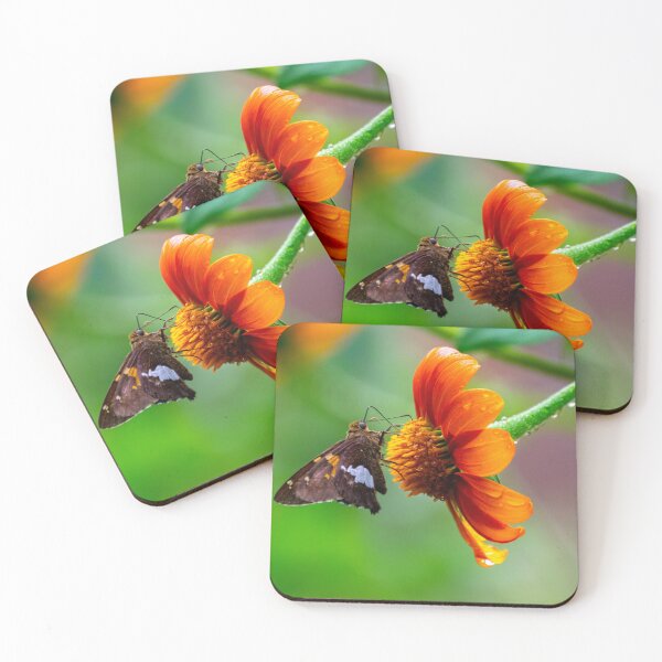 Item preview, Lunar Moth on Tithonia (portrait) designed and sold by JakeBarkerPhoto.