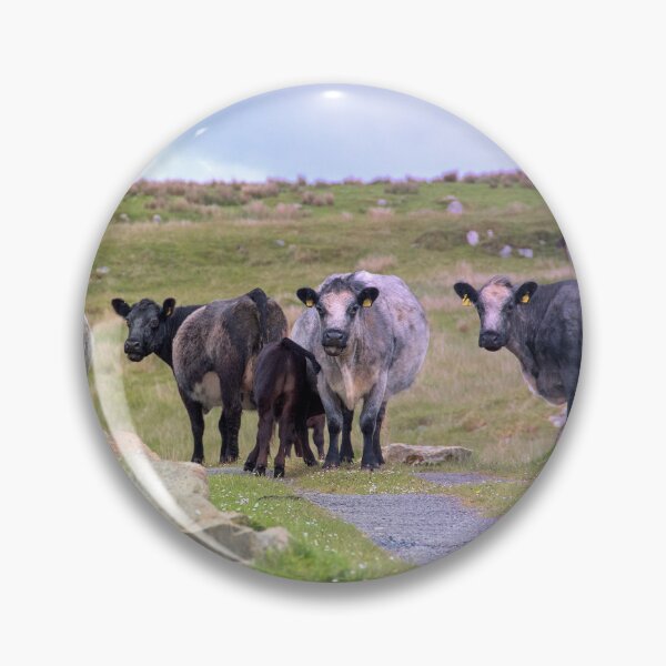Item preview, Meet the Locals designed and sold by IslayFineArt.