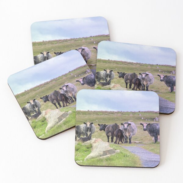 Item preview, Meet the Locals designed and sold by IslayFineArt.