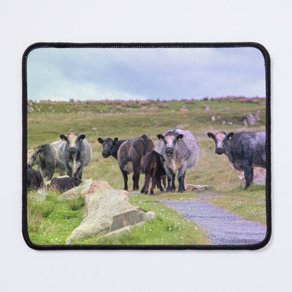 Item preview, Meet the Locals designed and sold by IslayFineArt.