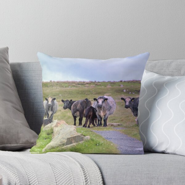 Item preview, Meet the Locals designed and sold by IslayFineArt.