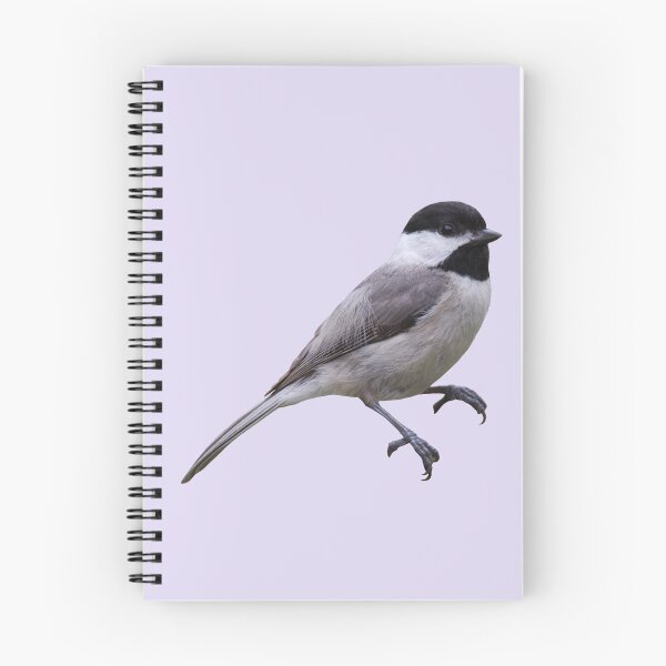 Item preview, Carolina Chickadee designed and sold by baegel.