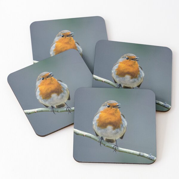 Item preview, Singing Robin designed and sold by Tom McPherson Photography.