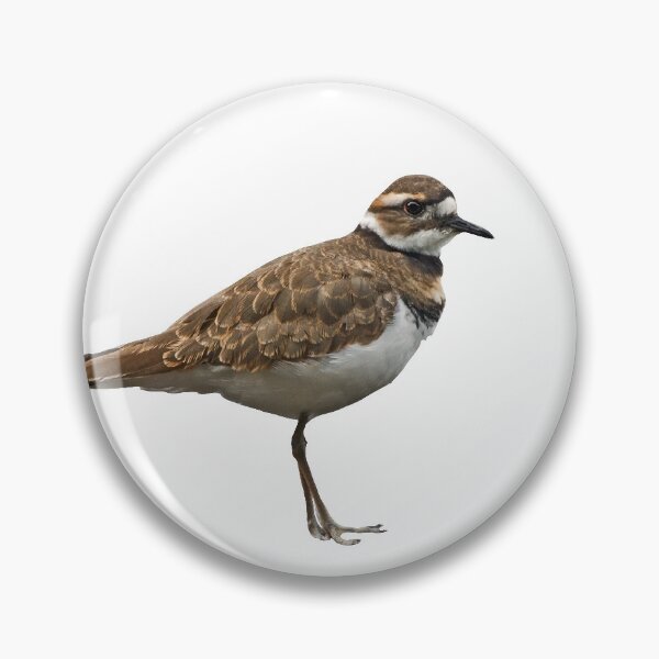 Item preview, Killdeer designed and sold by baegel.