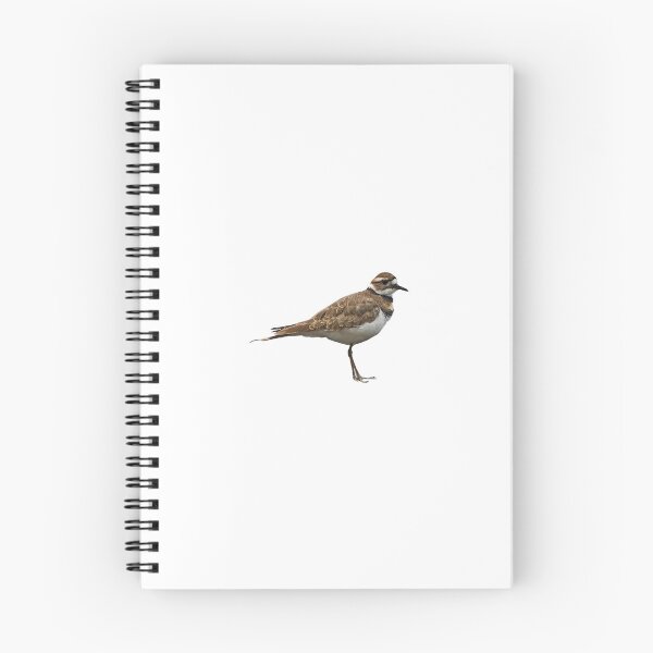 Item preview, Killdeer designed and sold by baegel.