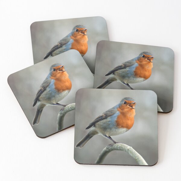 Item preview, Singing Robin designed and sold by Tom McPherson Photography.