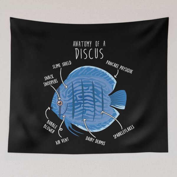 Item preview, Discus Fish Anatomy designed and sold by Clara Hollins.