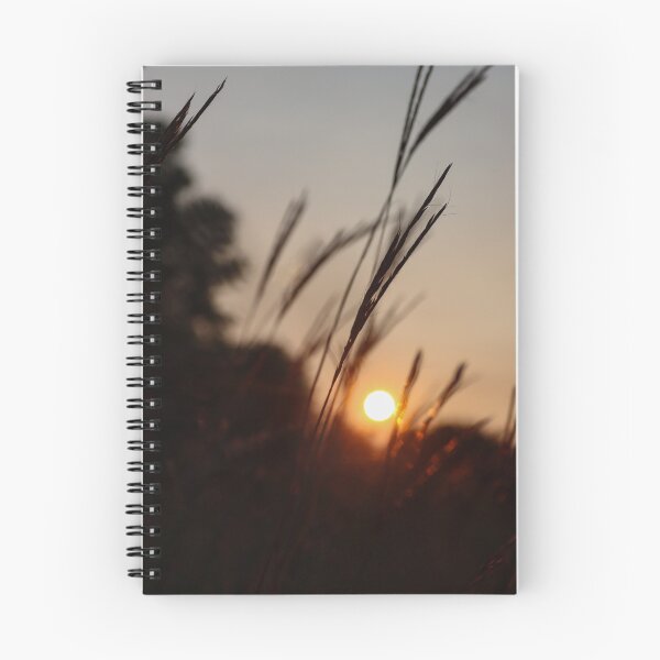 Item preview, Sunrise Through Prairie Grass, Late Summer designed and sold by passion4photos.