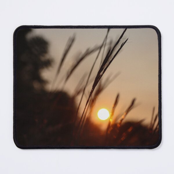 Item preview, Sunrise Through Prairie Grass, Late Summer designed and sold by passion4photos.