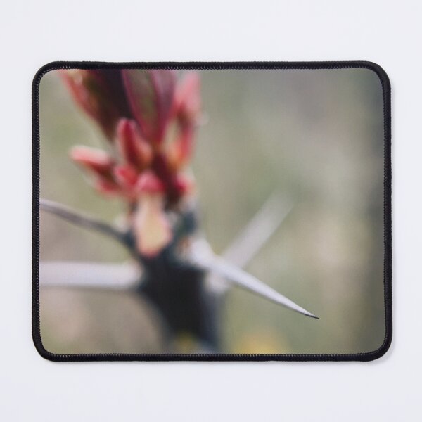 Item preview, Ocotillo designed and sold by Jason Tompkins.