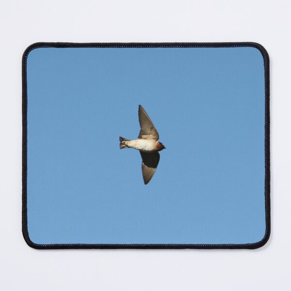 Item preview, A Hirundo rustica in flight. designed and sold by John Jacob Jingleheimer Schmidt.