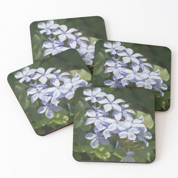 Item preview, Blue Plumbago Flowering Shrub designed and sold by CarolM.