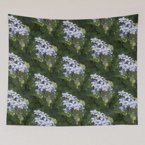 Item preview, Blue Plumbago Flowering Shrub designed and sold by CarolM.
