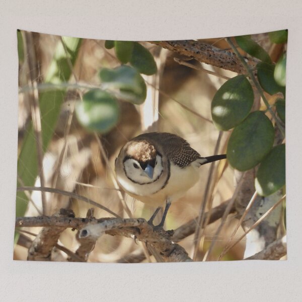 Item preview, Double-barred Finch in tree Dundowran Beach designed and sold by Mark Grimsley.