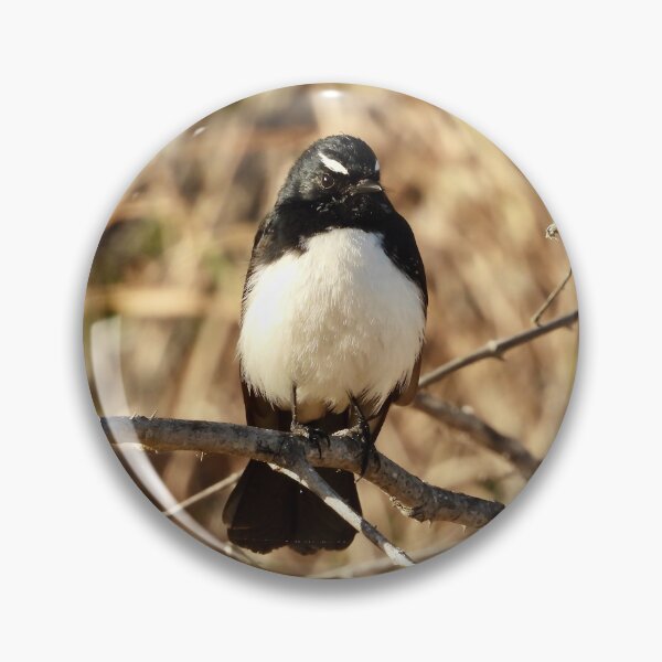 Item preview, Willie Wagtail on the beach designed and sold by Mark Grimsley.