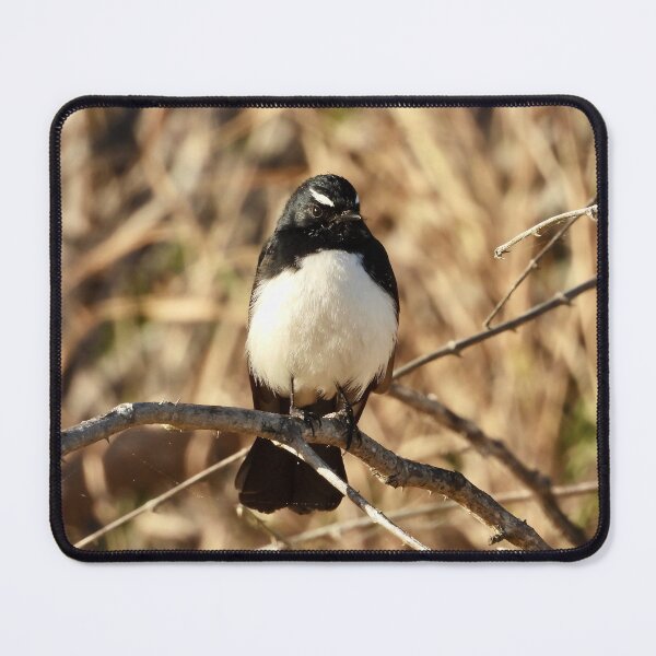 Item preview, Willie Wagtail on the beach designed and sold by Mark Grimsley.
