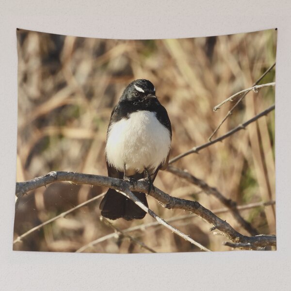 Item preview, Willie Wagtail on the beach designed and sold by Mark Grimsley.