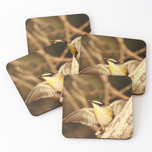 Item preview, Striated Pardalote at Dundowran Beach designed and sold by Mark Grimsley.